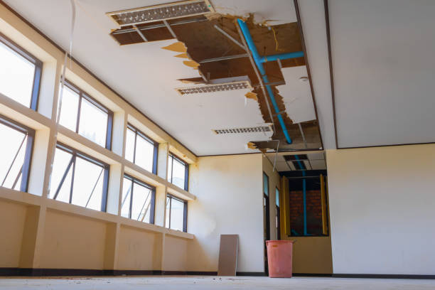 Best Flood restoration services  in Munday, TX
