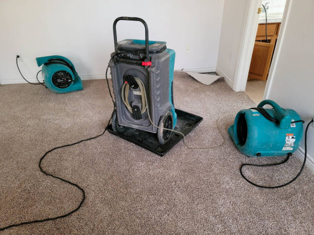 Best Commercial water damage restoration  in Munday, TX