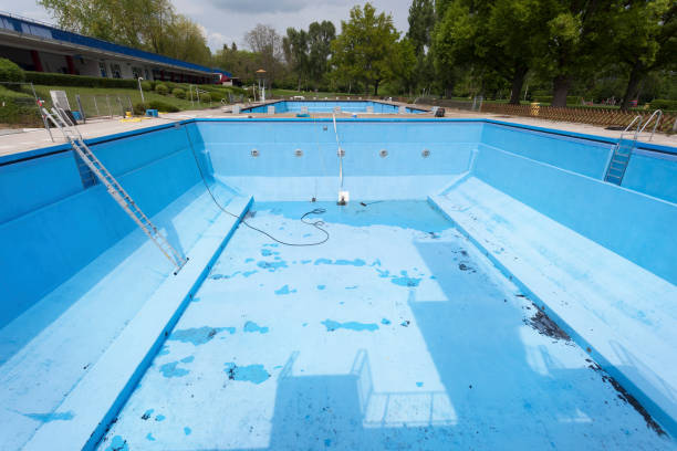Best Professional water damage repair  in Munday, TX