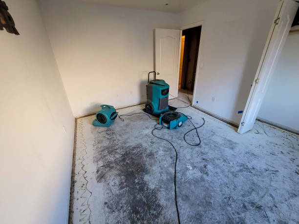 Best Water damage restoration company  in Munday, TX