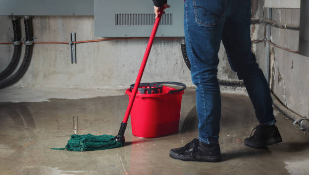 Best Sewage cleanup and water damage restoration  in Munday, TX