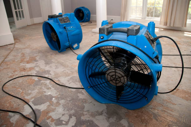 Best Water damage cleanup near me  in Munday, TX