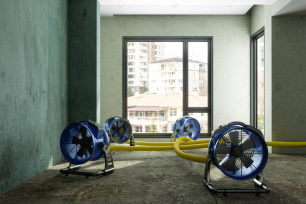 Best Emergency water damage restoration  in Munday, TX