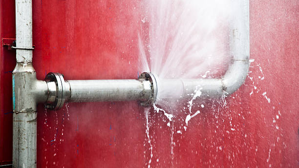 Best Water damage cleanup near me  in Munday, TX